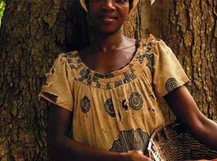 Nestle' Cocoa Plan